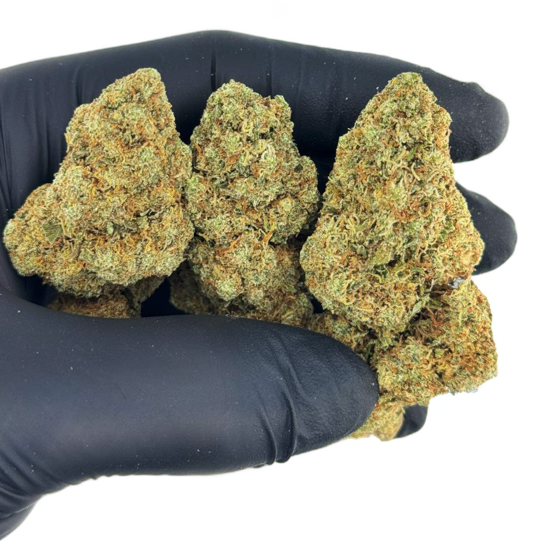 555174842 1141346140896774 73137785421180020 n