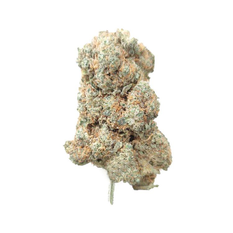 564891142 1365534445273961 5555600876816566725 n