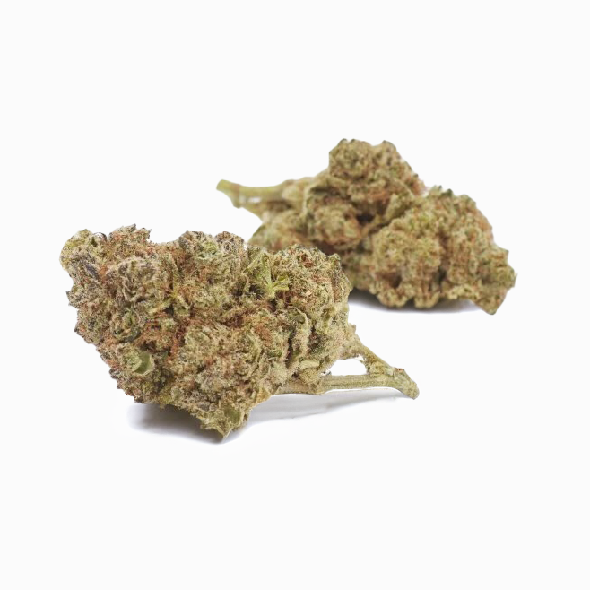 565129691 2755643121295315 6044555203053458794 n